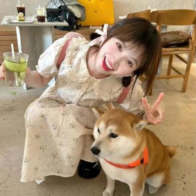 点金者海报